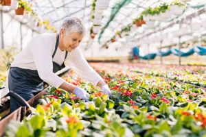 cumul emploi et retraite