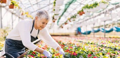 cumul emploi et retraite